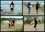 (74) post surf scramble montage (day 3).jpg    (1000x720)    385 KB                              click to see enlarged picture